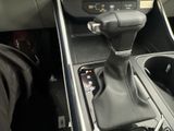 New 2026 Kia Carnival MPV Van