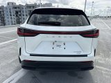 Used 2025 Lexus NX SUV