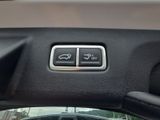 New 2026 Kia Sorento Hybrid SUV