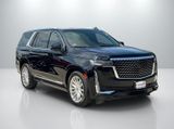 Used 2022 Cadillac Escalade SUV