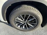 Used 2025 Lexus NX SUV