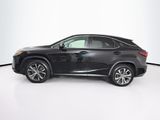 Used 2019 Lexus RX SUV