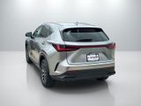 Used 2025 Lexus NX SUV