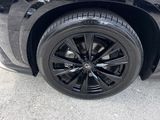 Used 2024 Lexus NX SUV