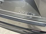 Used 2025 Lexus NX SUV