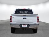 Used 2023 Ford F-150 Truck