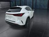 Used 2025 Lexus NX SUV