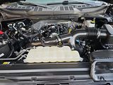 Used 2025 Ford F-150 Truck