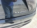 Used 2024 Lexus NX SUV