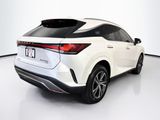 Used 2025 Lexus RX SUV