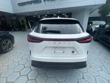Used 2024 Lexus NX SUV