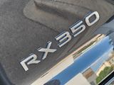 Used 2024 Lexus RX SUV