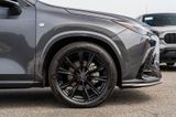 Used 2024 Lexus NX SUV