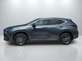 Used 2025 Lexus NX SUV