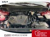 Used 2025 Kia Sorento SUV