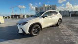 Used 2025 Lexus NX SUV