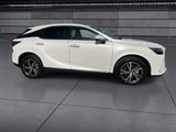 Used 2024 Lexus RX SUV