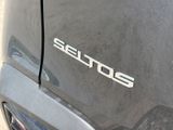 New 2026 Kia Seltos SUV