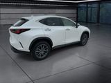 Used 2025 Lexus NX SUV