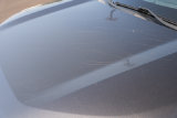 Used 2020 Toyota RAV4 SUV