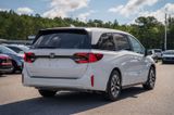 New 2026 Honda Odyssey Van