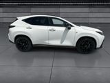 Used 2024 Lexus NX SUV