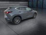 Used 2024 Lexus NX SUV