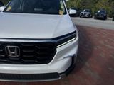Used 2025 Honda Pilot SUV