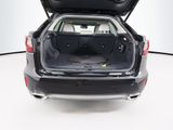 Used 2019 Lexus RX SUV