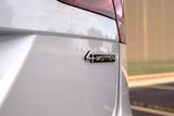 Used 2024 Volkswagen Tiguan SUV