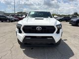 Used 2024 Toyota Tacoma Truck