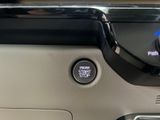 New 2026 Kia Carnival MPV Hybrid Van