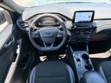 Used 2025 Ford Escape SUV