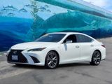 Used 2019 Lexus ES Sedan
