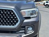 Used 2019 Toyota Tacoma Truck