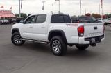 Used 2019 Toyota Tacoma Truck