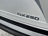 Used 2025 Lexus NX SUV
