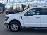 Used 2024 Ford F-150 Truck