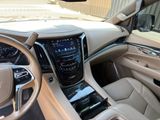 Used 2019 Cadillac Escalade SUV