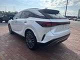 Used 2024 Lexus RX SUV