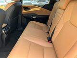Used 2025 Lexus RX SUV