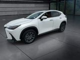 Used 2025 Lexus NX SUV