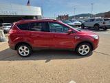 Used 2014 Ford Escape SUV