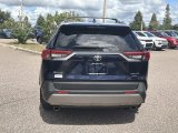 Used 2025 Toyota RAV4 SUV