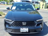 Used 2025 Honda Accord Sedan