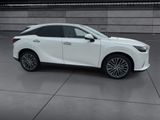 Used 2024 Lexus RX SUV