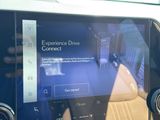 Used 2025 Lexus NX SUV
