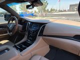 Used 2019 Cadillac Escalade SUV