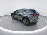 Used 2025 Lexus NX SUV