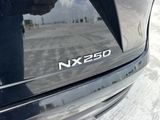 Used 2025 Lexus NX SUV